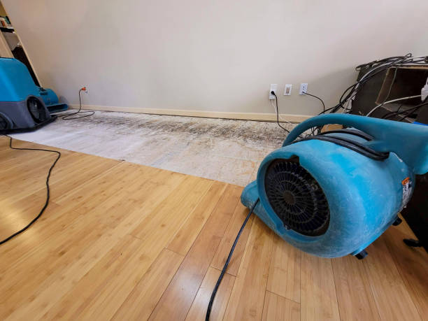 Professional Water Extraction technician working in Perrysburg, OH